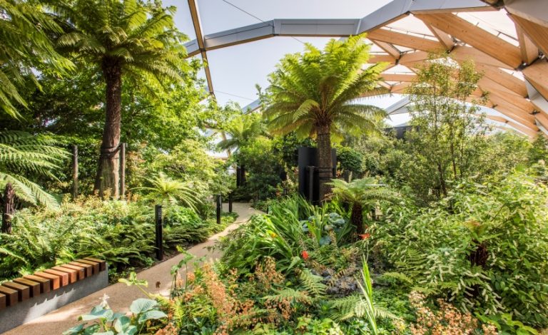 Tropical trees in the Crossrail roof garden in Canary Wharf