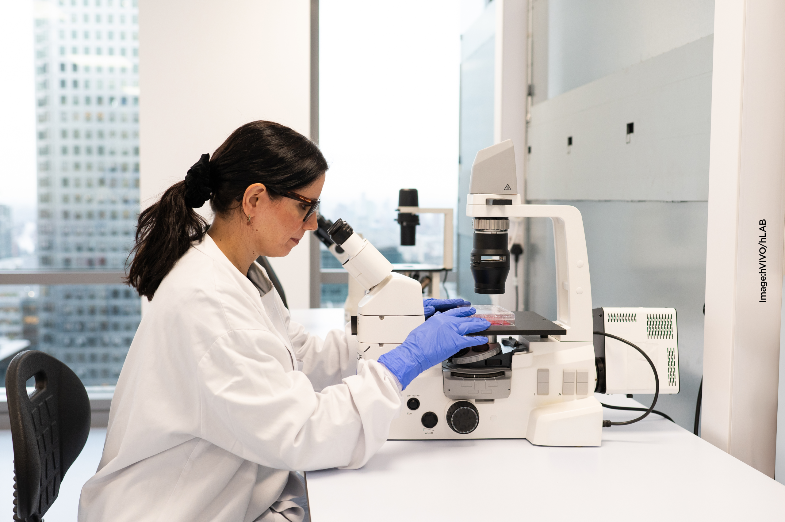 Life Sciences and Healthcare
